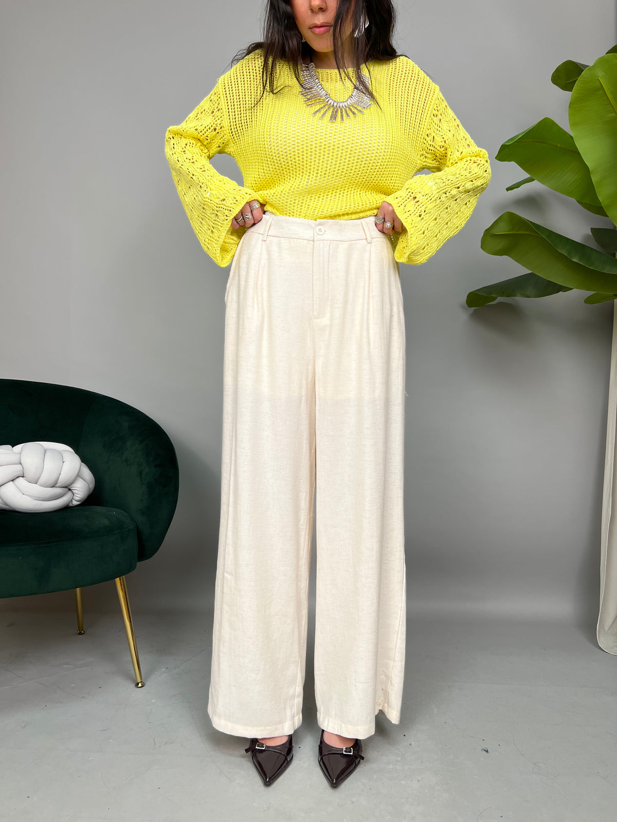 Pantalone Plinius